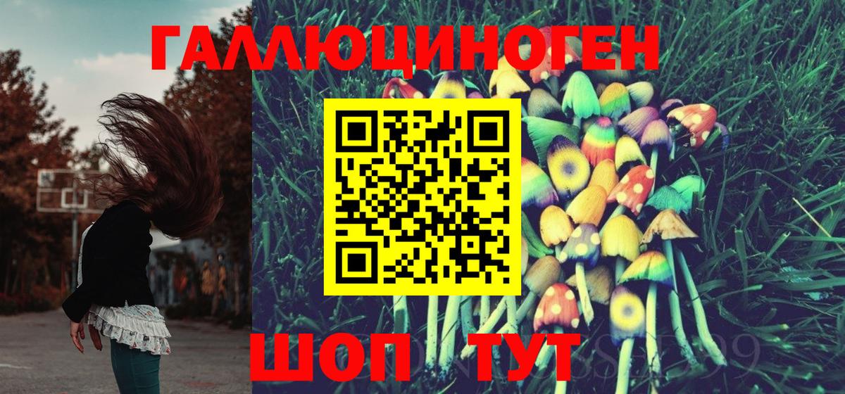 Сорочинск  Галлюциногенные грибы Cubensis  Вход с VPN  Галлюциногенные грибы мухоморы 